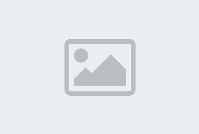 Finance & Accounting executive officer