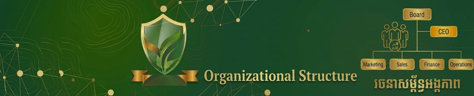Organization structure